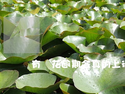 有銭花逾期会真的上征信嘛 有銭花逾期会真的上征信嘛