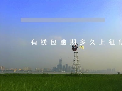 有钱包逾期多久上征信 有钱包逾期多久上征信