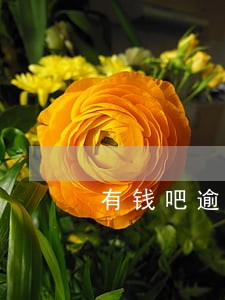 有钱吧逾期利息 有钱吧逾期利息