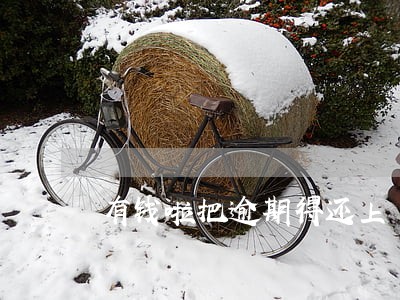 有钱啦把逾期得还上 有钱啦把逾期得还上
