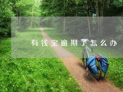 有钱宝逾期了怎么办