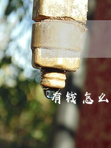 有钱怎么协商只还本金 有钱怎么协商只还本金