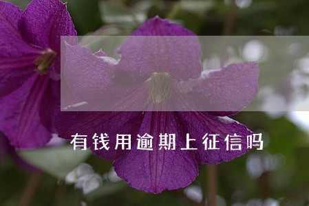 有钱用逾期上征信吗 有钱用逾期上征信吗