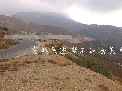 有钱用逾期不还会怎样 有钱用逾期不还会怎样