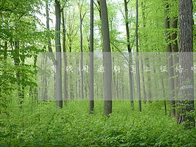 有钱用逾期了上征信吗 有钱用逾期了上征信吗