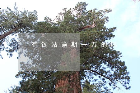 有钱站逾期一万的吗 有钱站逾期一万的吗