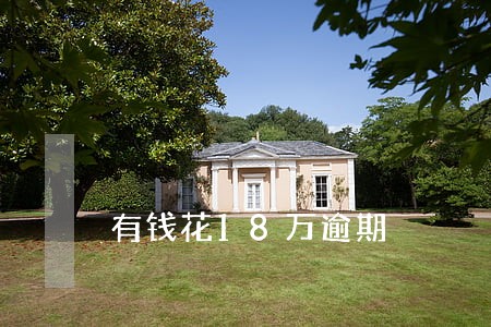 有钱花18万逾期 有钱花18万逾期