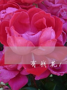 有钱花1万逾期1年多怎么办 有钱花1万逾期1年多怎么办