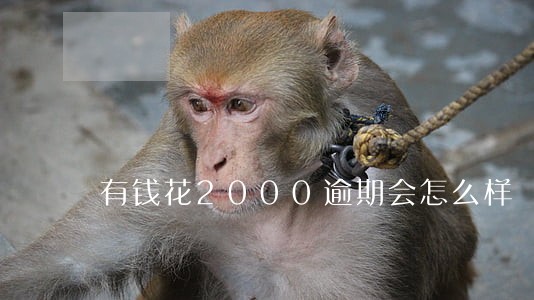 有钱花2000逾期会怎么样 有钱花2000逾期会怎么样