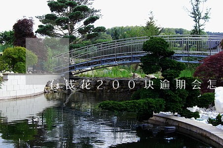 有钱花200块逾期会怎样 有钱花200块逾期会怎样