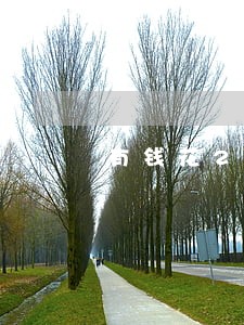 有钱花2天算逾期