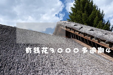有钱花3000多逾期400天 有钱花3000多逾期400天