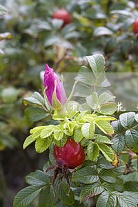 有钱花3万逾期一年还款要还多少