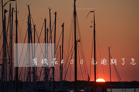 有钱花400元逾期了怎么办 有钱花400元逾期了怎么办