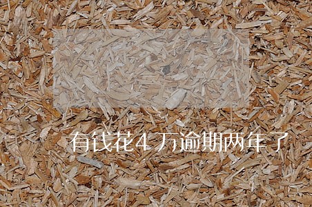 有钱花4万逾期两年了 有钱花4万逾期两年了
