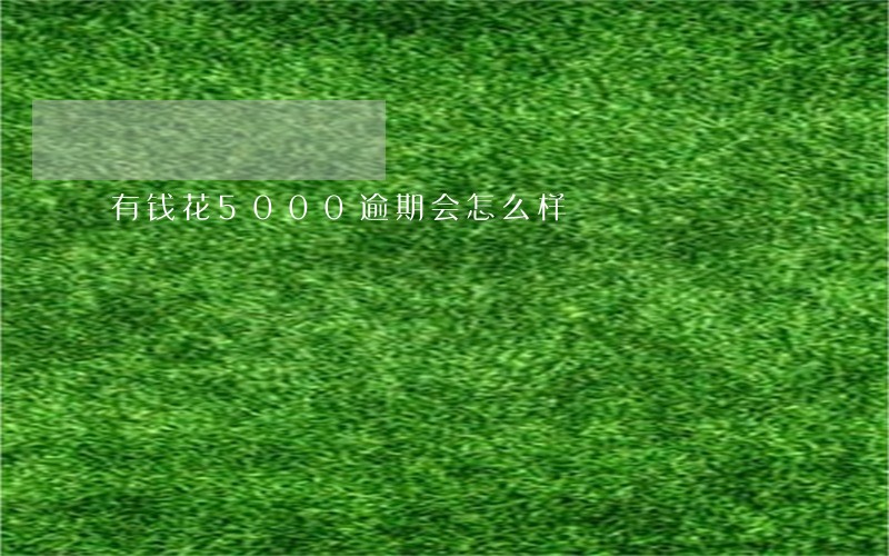 有钱花5000逾期会怎么样 有钱花5000逾期会怎么样