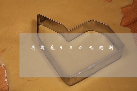 有钱花500元逾期 有钱花500元逾期