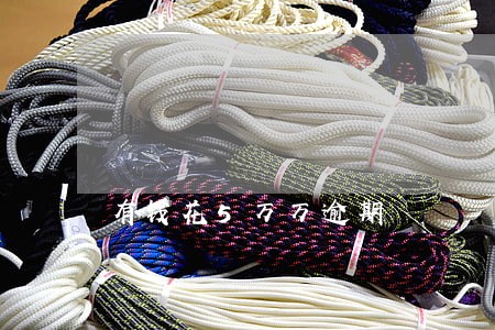 有钱花5万万逾期 有钱花5万万逾期
