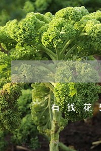 有钱花5万逾期每天利息罚息多少 有钱花5万逾期每天利息罚息多少