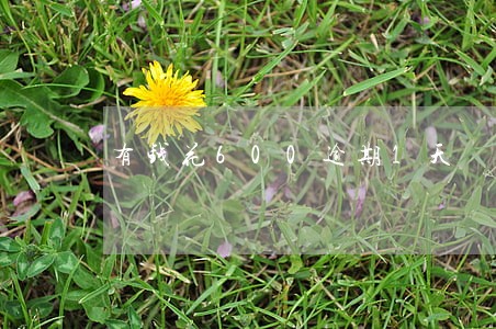有钱花600逾期1天
