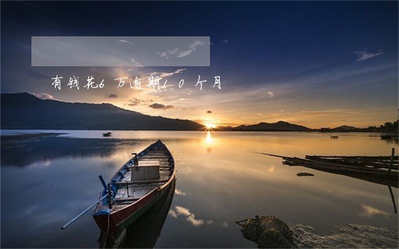 有钱花6万逾期10个月 有钱花6万逾期10个月