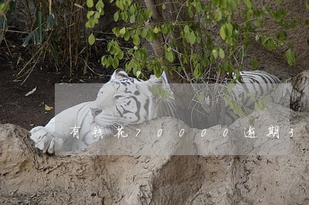 有钱花70000逾期3年了 有钱花70000逾期3年了