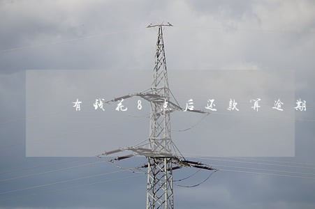 有钱花8点后还款算逾期吗 有钱花8点后还款算逾期吗