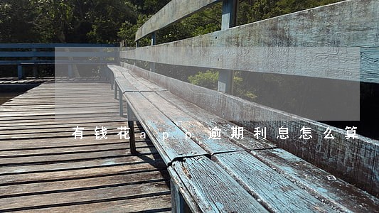 有钱花app逾期利息怎么算