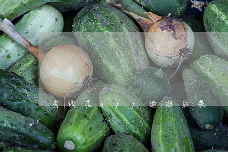 有钱花app逾期后果 有钱花app逾期后果