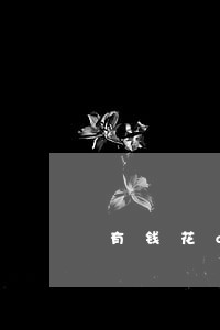 有钱花app逾期怎么办 有钱花app逾期怎么办