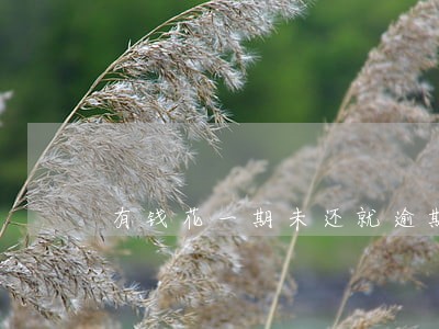 有钱花一期未还就逾期会怎么样 有钱花一期未还就逾期会怎么样