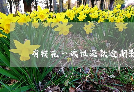 有钱花一次性还款逾期影响征信 有钱花一次性还款逾期影响征信