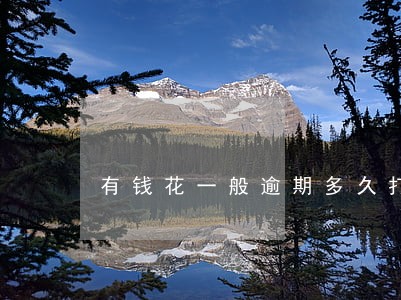 有钱花一般逾期多久打给联系人 有钱花一般逾期多久打给联系人