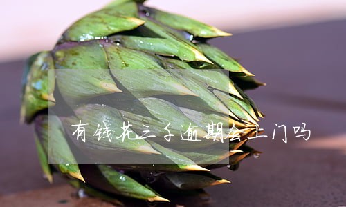 有钱花三千逾期会上门吗