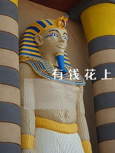 有钱花上海银行电子卡逾期了