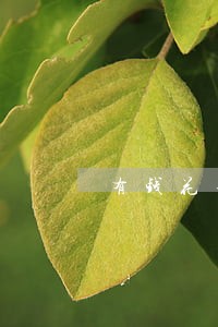 有钱花不小心逾期一个小时 有钱花不小心逾期一个小时