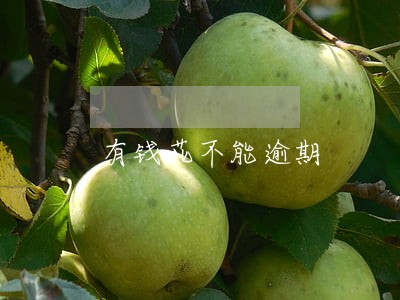 有钱花不能逾期 有钱花不能逾期