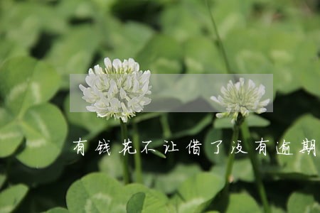 有钱花不让借了没有逾期 有钱花不让借了没有逾期