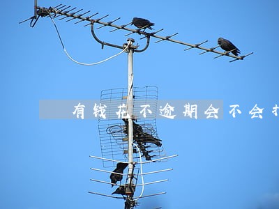 有钱花不逾期会不会打联系人 有钱花不逾期会不会打联系人