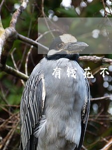 有钱花不逾期会爆通讯录没 有钱花不逾期会爆通讯录没