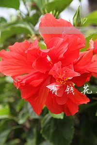 有钱花不逾期会被打电话吗 有钱花不逾期会被打电话吗