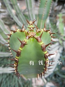 有钱花不逾期会降额吗 有钱花不逾期会降额吗