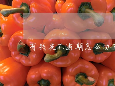 有钱花不逾期怎么协商 有钱花不逾期怎么协商