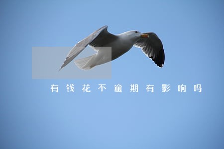 有钱花不逾期有影响吗 有钱花不逾期有影响吗