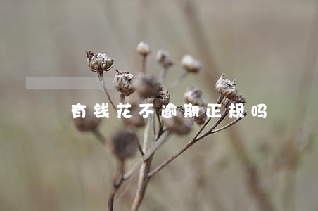 有钱花不逾期正规吗 有钱花不逾期正规吗