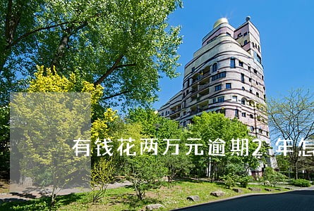 有钱花两万元逾期2年怎么办