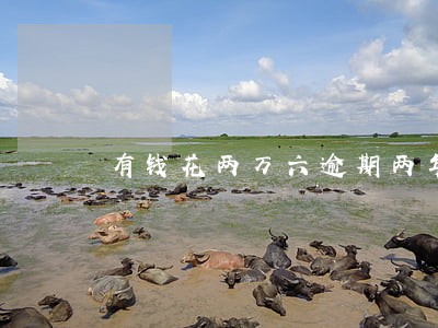 有钱花两万六逾期两年 有钱花两万六逾期两年
