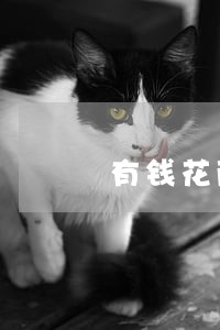 有钱花两万块逾期一年未还款 有钱花两万块逾期一年未还款