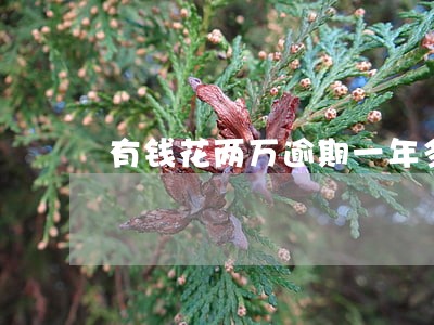 有钱花两万逾期一年多 有钱花两万逾期一年多