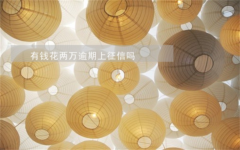 有钱花两万逾期上征信吗 有钱花两万逾期上征信吗